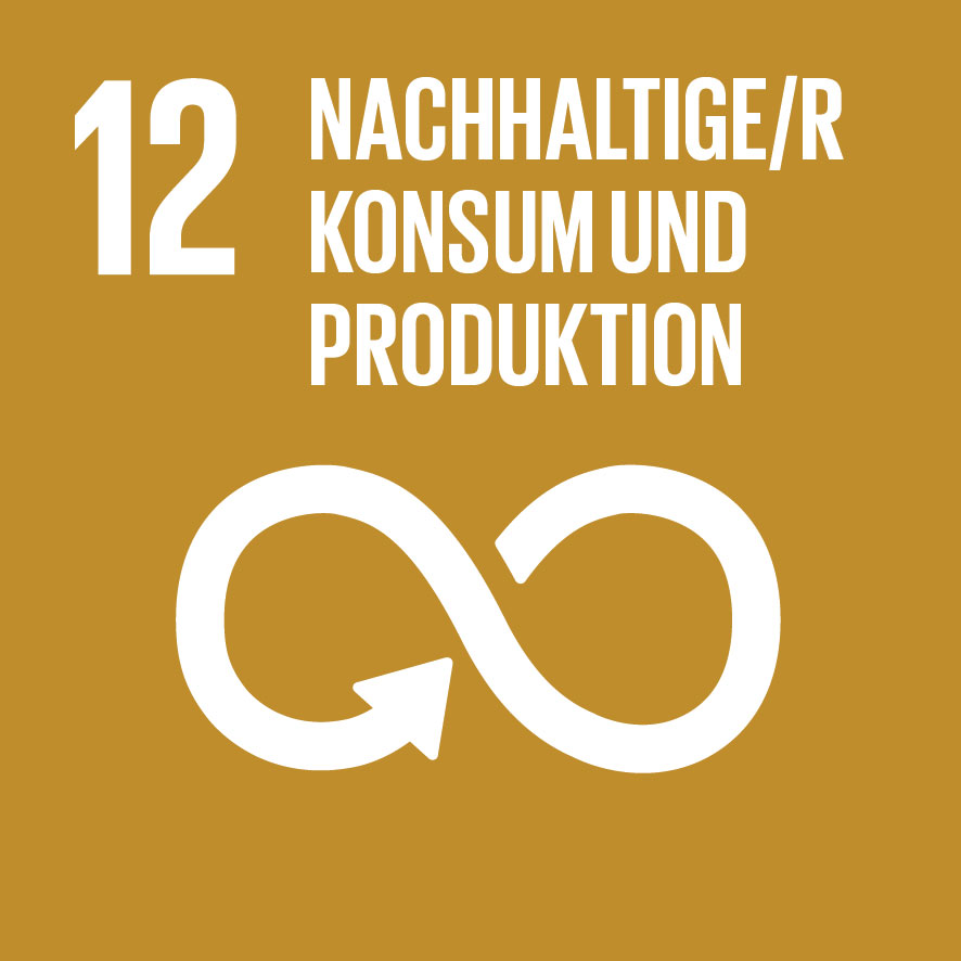 SDG-icon-DE-12_1.jpg