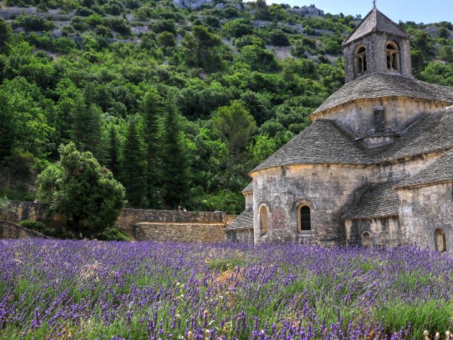 Abbaye de Sénanque Provence